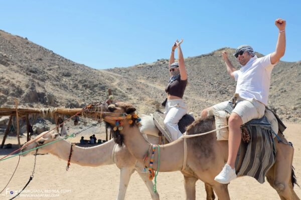 Camel riding 2 hours